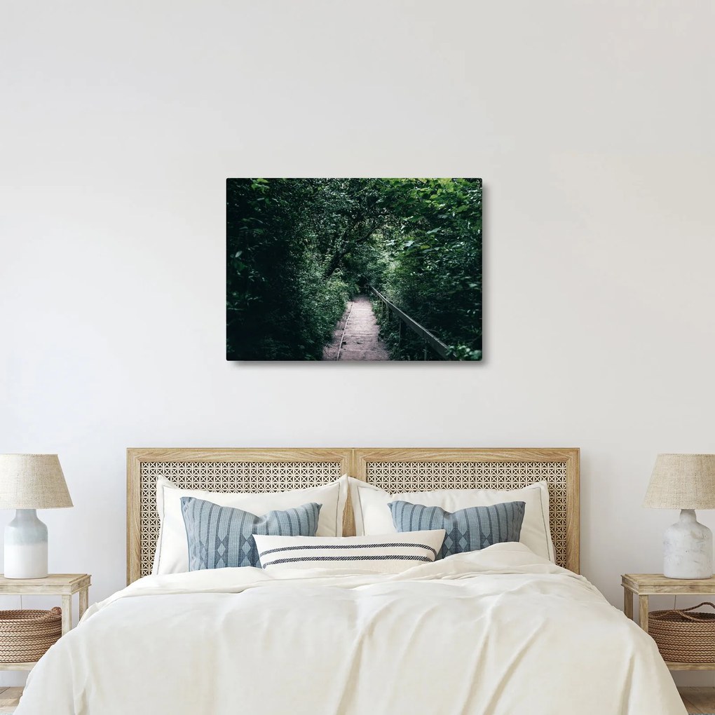 Obraz - Ścieżka przez las (70x50 cm)