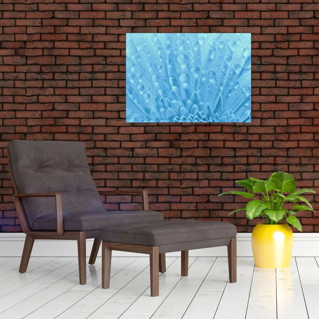 Obraz - Ujęcie makro kwiatu (70x50 cm)