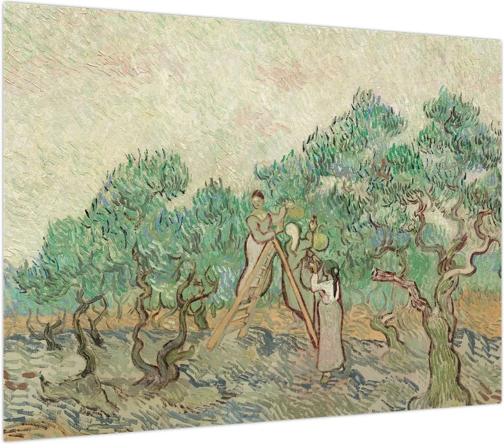 Obraz na szkle - Vincent van Gogh, The Olive Orchard, reprodukcje (70x50 cm)