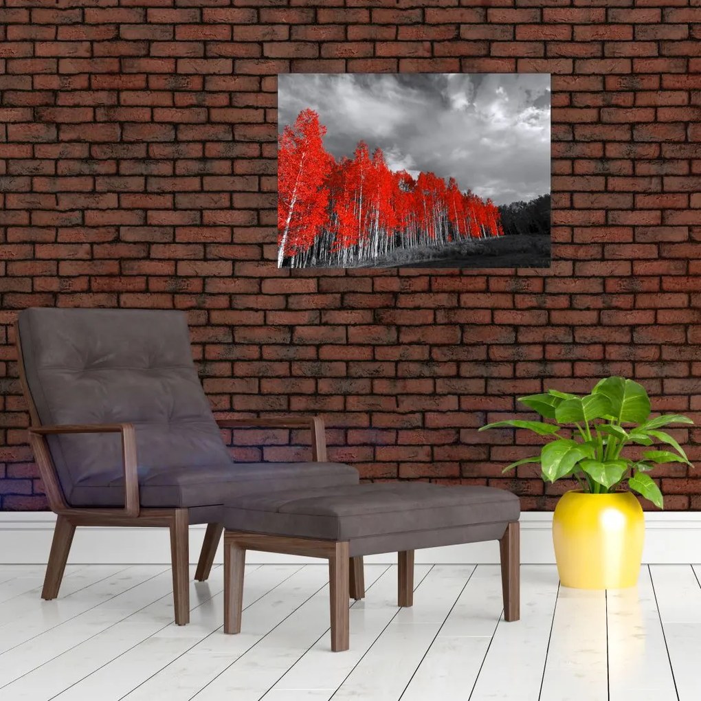 Obraz - Drzewa w kolorze jesieni (70x50 cm)