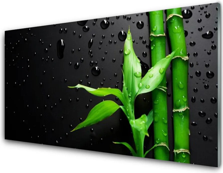 Panel Szklany do Kuchni Tropikalny Motyw Bambusa