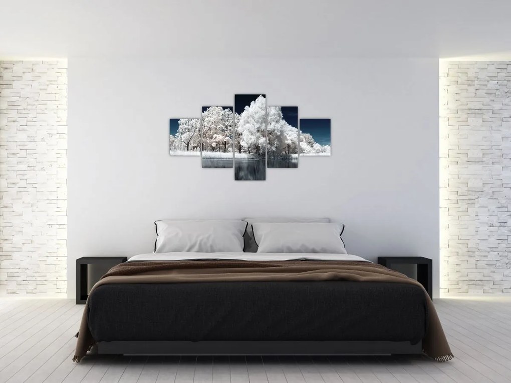 Obraz - Śnieżnobiałe drzewa (125x70 cm)