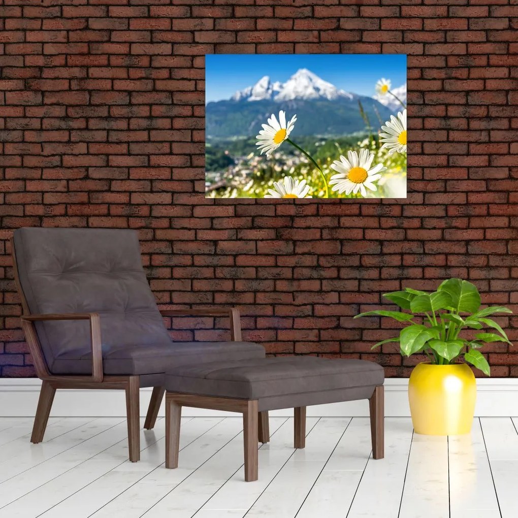Obraz - Wiosna w Alpach (70x50 cm)