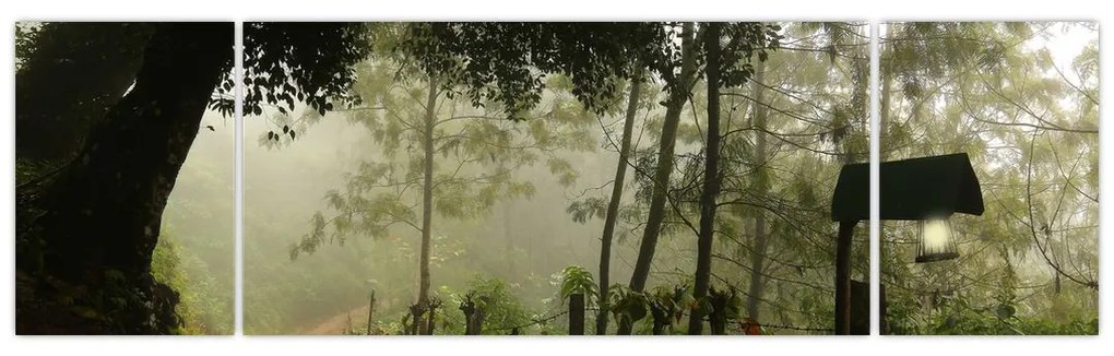 Obraz porannej mgły (170x50 cm)