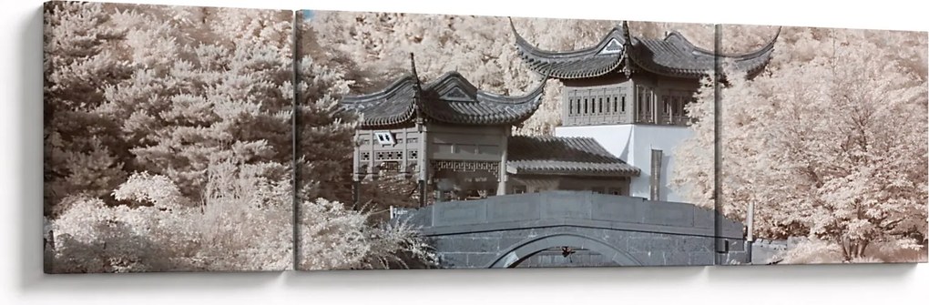 Obraz - Kwitnące drzewa w Azji (170x50 cm)