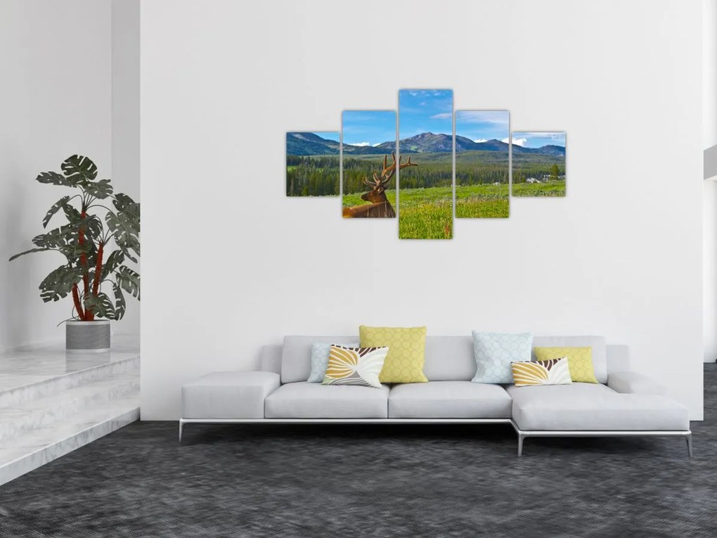 Obraz - Jeleń na łące (125x70 cm)
