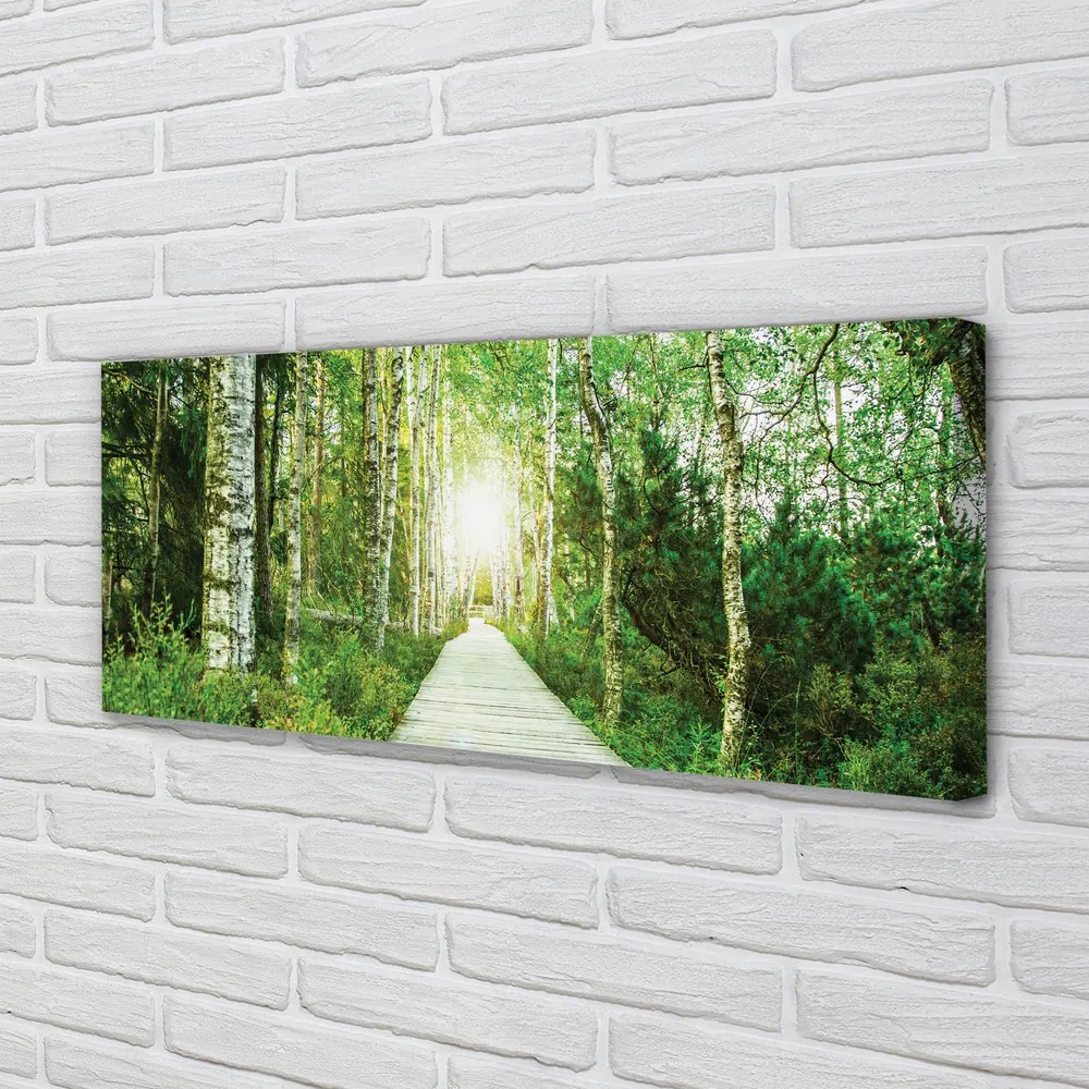 Zdjęcie na płótnie Leśna Droga wśród Brzóz