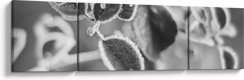 Obraz - Przyroda jesienią (170x50 cm)
