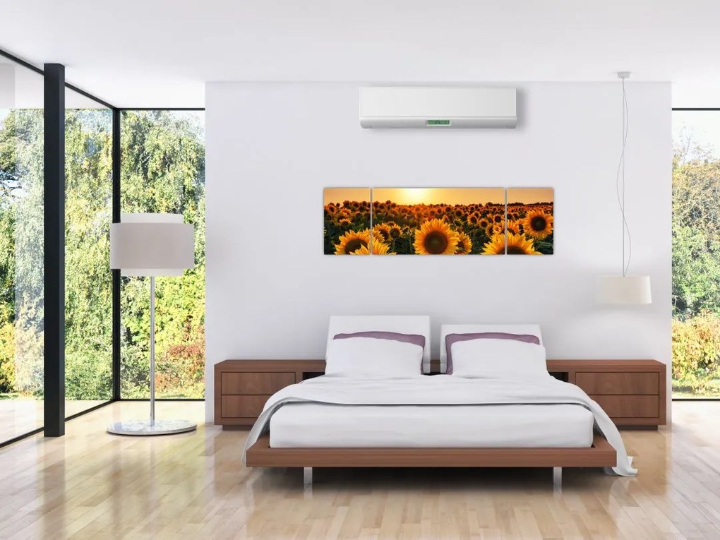 Obraz - Słonecznik (170x50 cm)