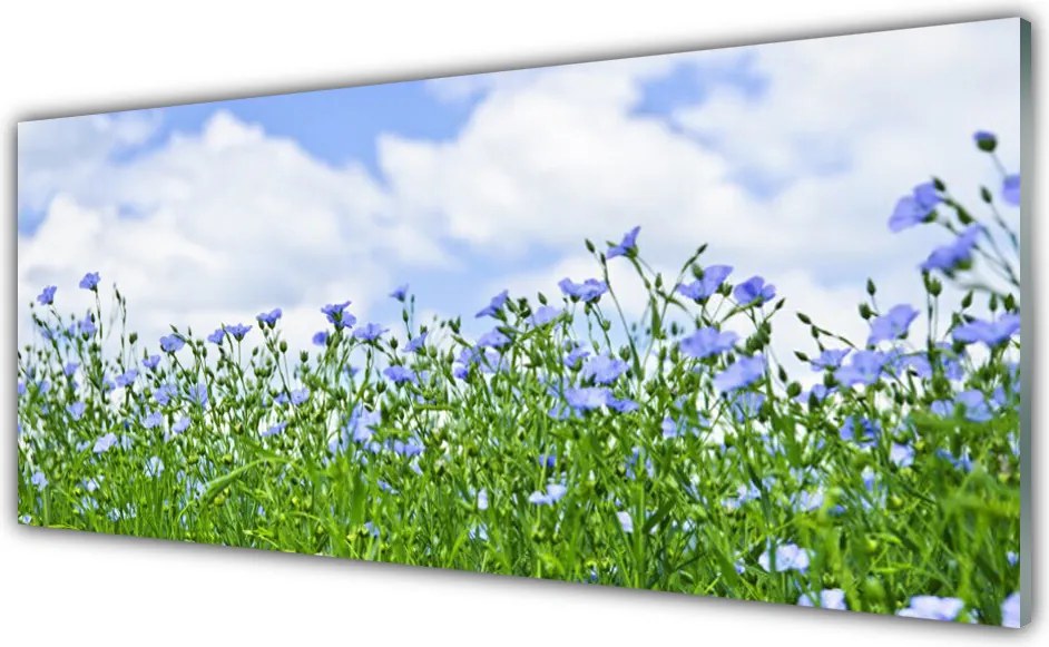 Szkło Dekoracyjne do Kuchni Harmonijna Flora Ogrodowa