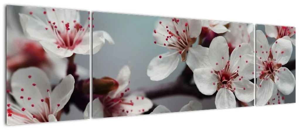 Obraz kwiatu - czerwony (170x50 cm)