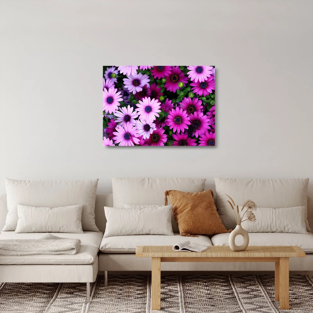 Obraz na szkle - Kwiaty (70x50 cm)