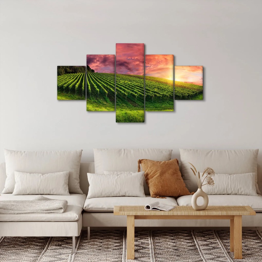 Obraz winnicy z kolorowym niebem (125x70 cm)
