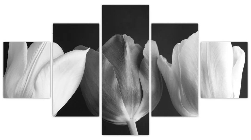 Obraz - Czarno - białe kwiaty tulipanów (125x70 cm)