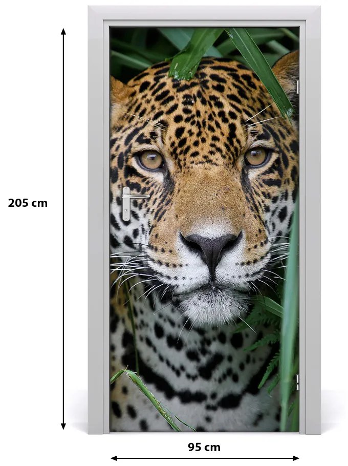 Fototapeta samoprzylepna na drzwi Jaguar w amazoni