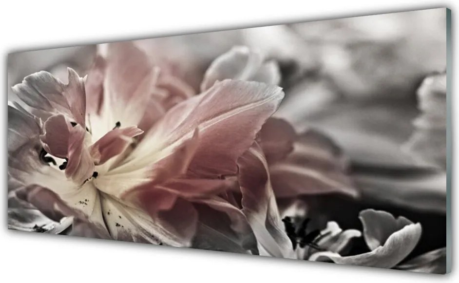 Panel Kuchenny Graficzna Synteza Barw