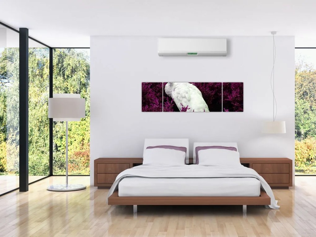 Obraz - Biały paw (170x50 cm)