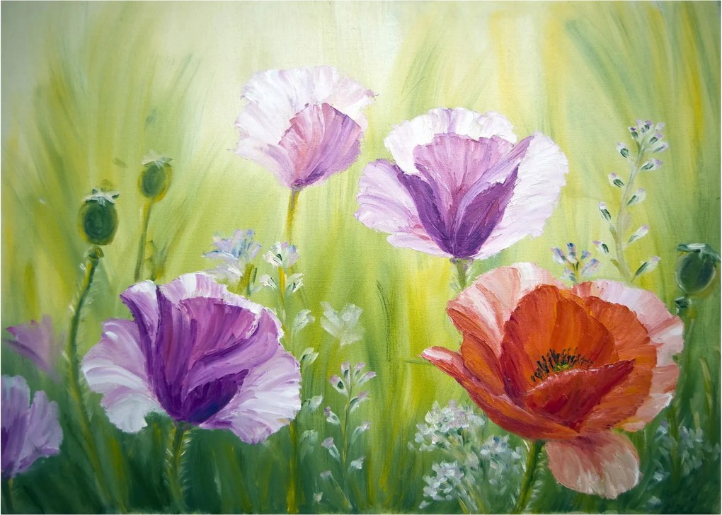 Obraz na szkle - Maki (70x50 cm)