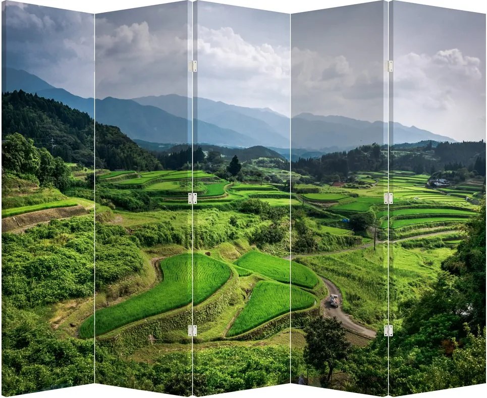 Parawan - Pole ryżowe (210x170 cm)