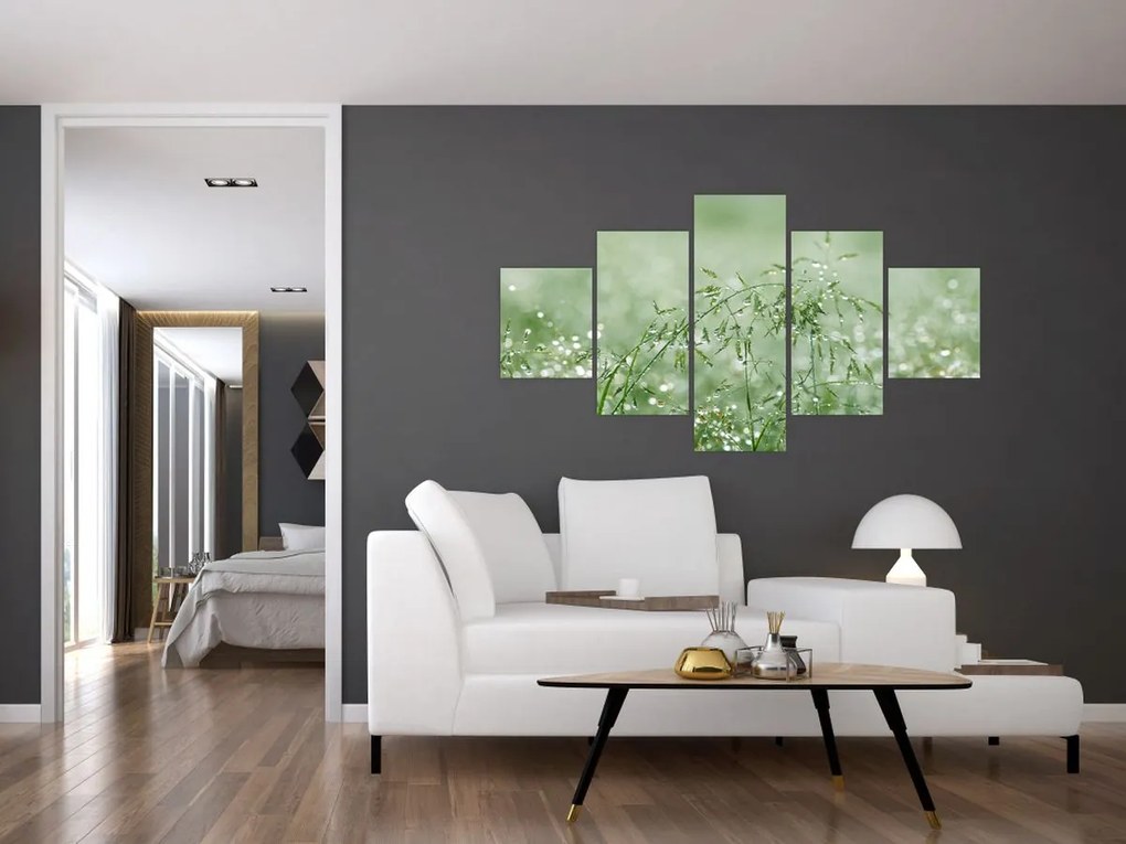 Obraz - Poranna rosa na źdźbłach trawy (125x70 cm)