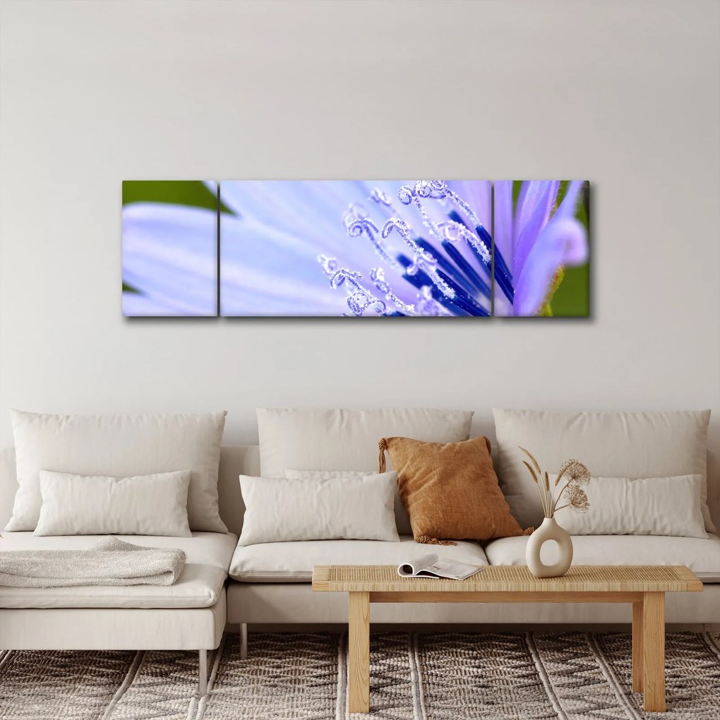 Obraz - Kwiat (170x50 cm)