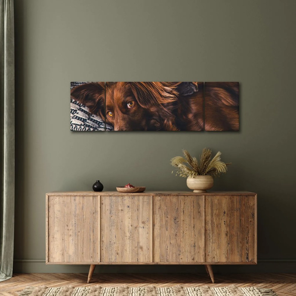Obraz leżących psów (170x50 cm)