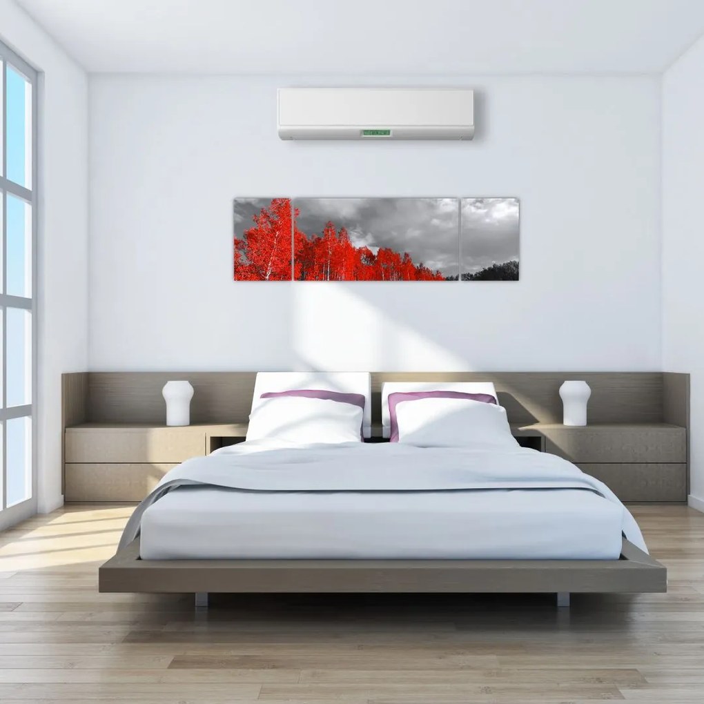 Obraz - Drzewa w kolorze jesieni (170x50 cm)
