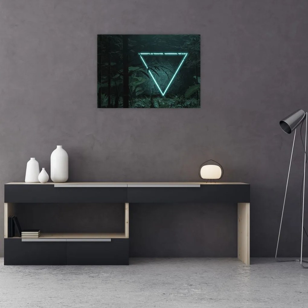 Obraz - Neonowy trójkąt w dżungli (70x50 cm)