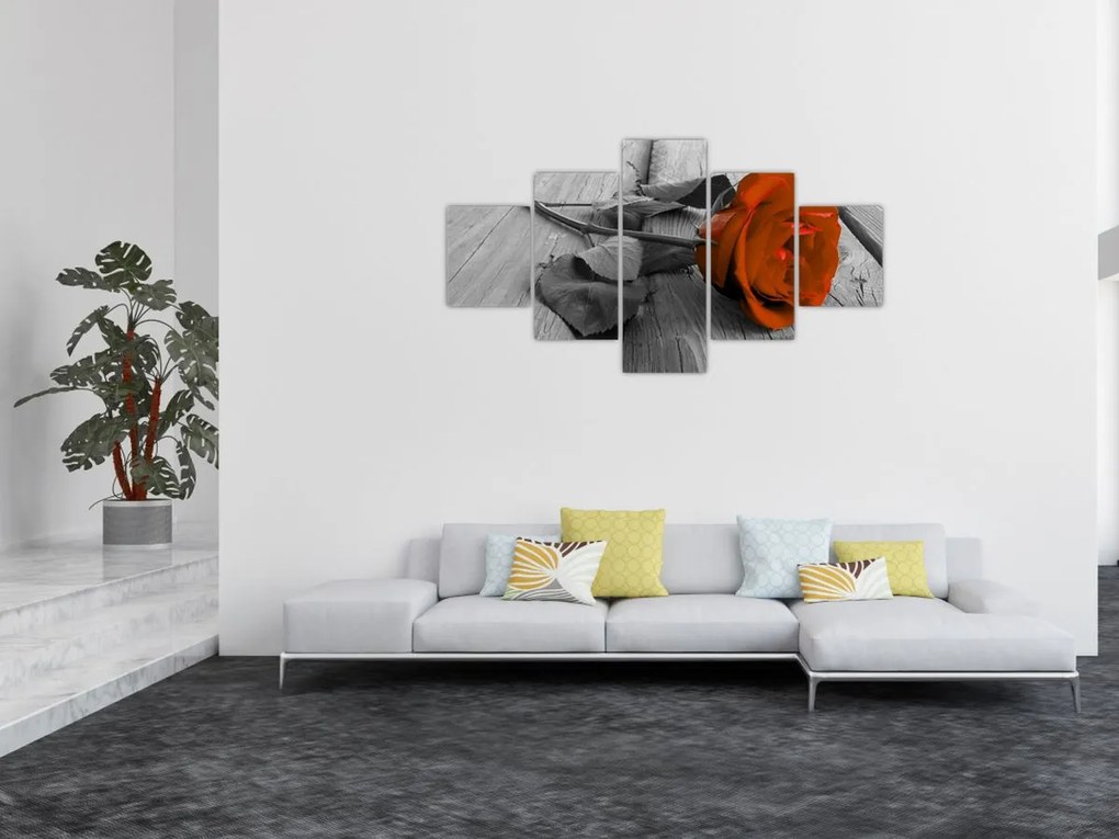 Obraz - Pomarańczowa róża (125x70 cm)