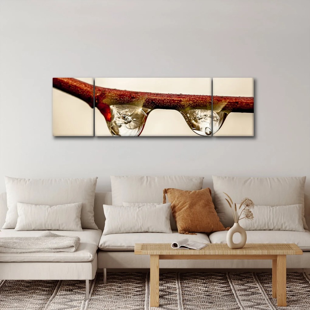 Obraz kropli na gałęzi (170x50 cm)
