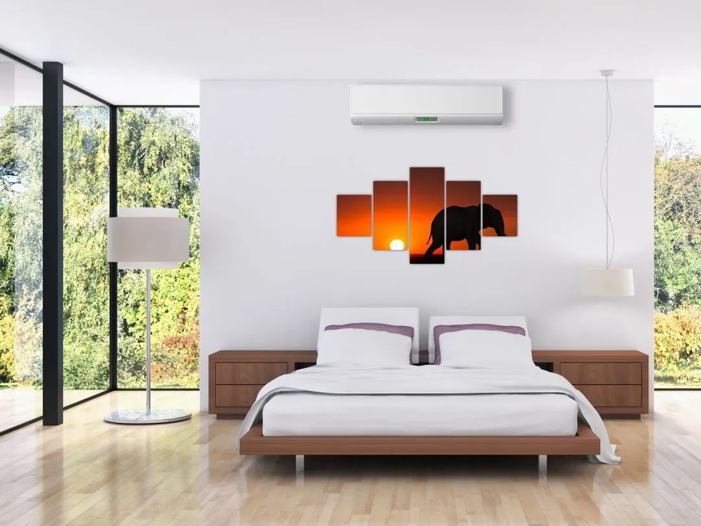 Obraz słonia o zachodzie słońca (125x70 cm)