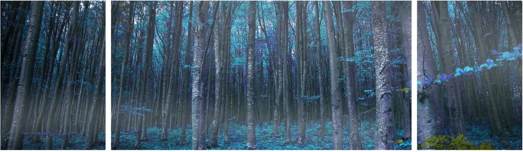 Obraz - Magiczny las (170x50 cm)