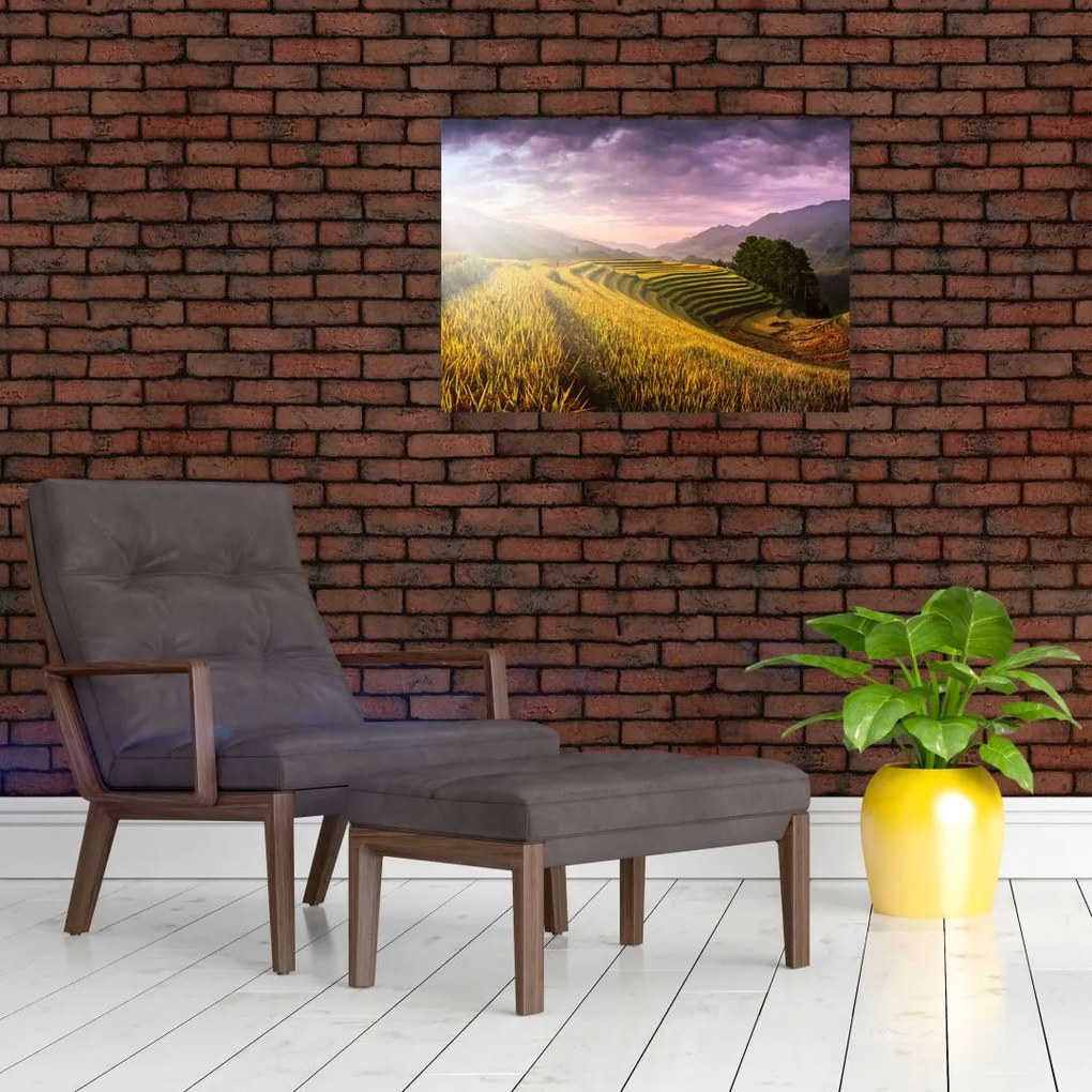 Obraz na szkle krajobrazu (70x50 cm)