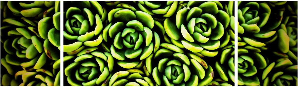 Obraz bez grzywki (170x50 cm)