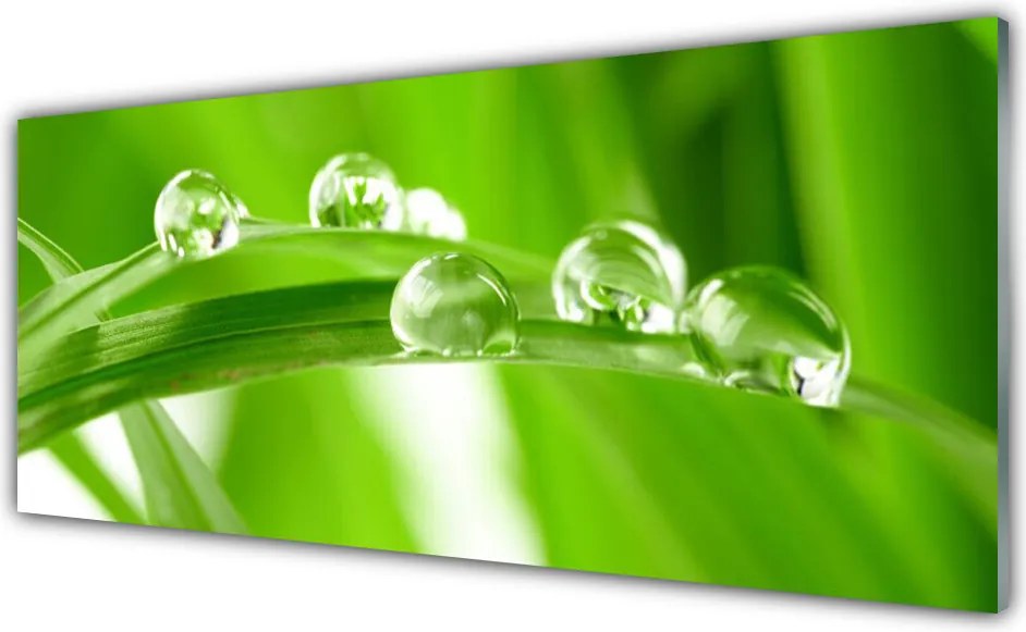 Panel nad blat kuchenny Tropikalna Flora Liściasta