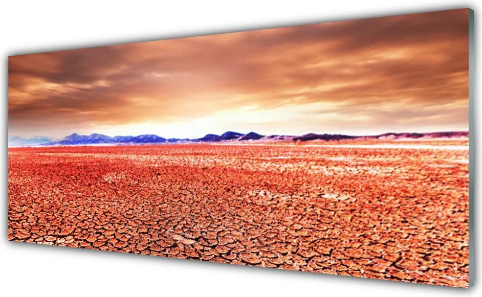 Szkło Ozdobne do Kuchni Egzotyczna Pustynia I Piasek