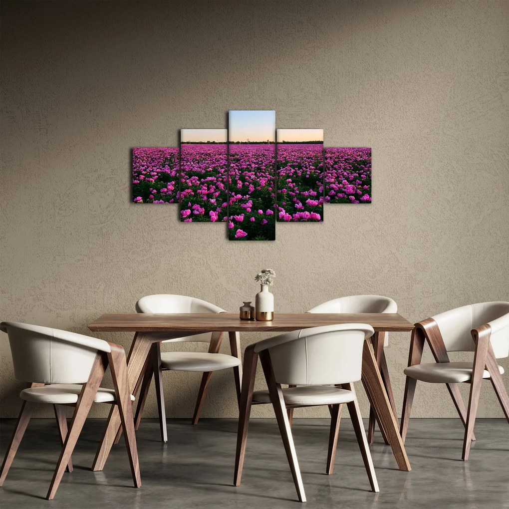Obraz - Łąka fioletowych tulipanów (125x70 cm)