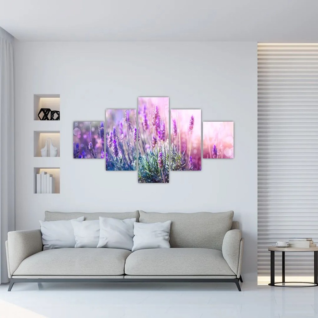 Obraz - Lawenda w słońcu (125x70 cm)