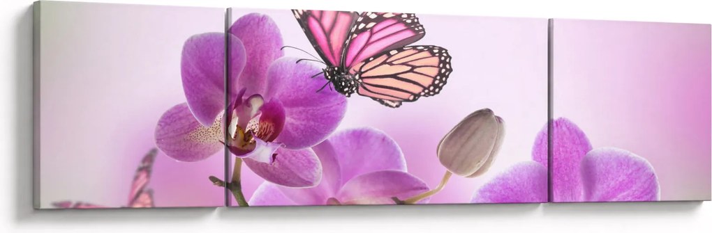 Obraz - Motyl na kwiatach orchidei, liliowy (170x50 cm)