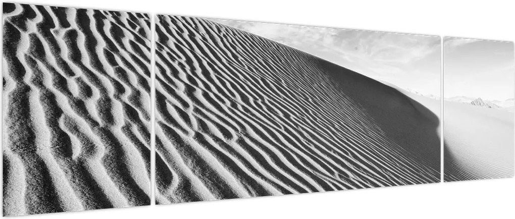 Obraz - Wydma piaskowa (170x50 cm)