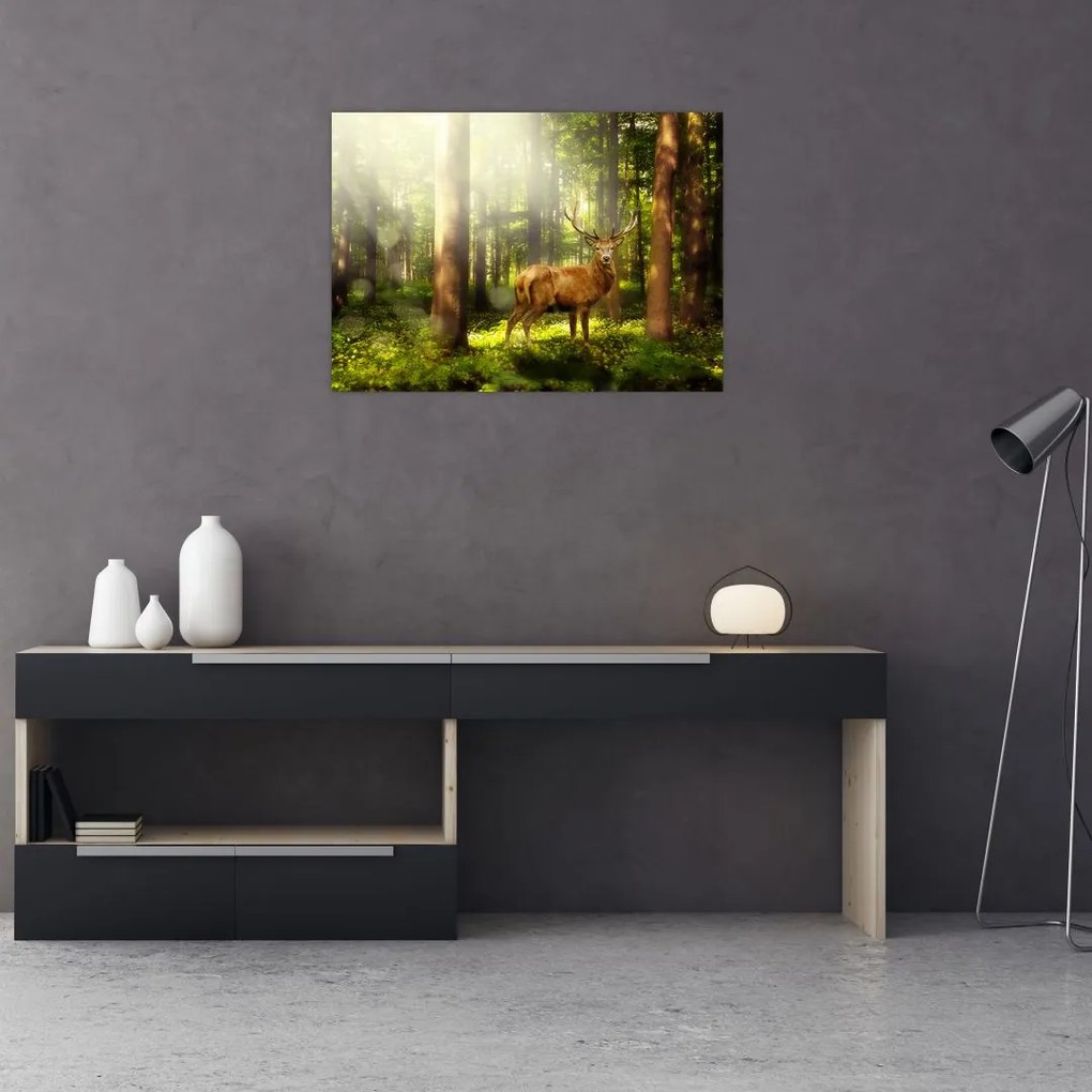 Obraz na szkle jelenia w lesie (70x50 cm)