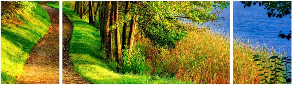 Obraz szlaku wzdłuż wody (170x50 cm)