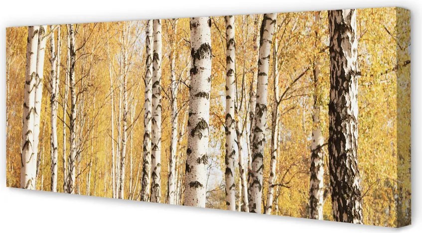 Obraz drukowany na płótnie Jesienne Drzewa