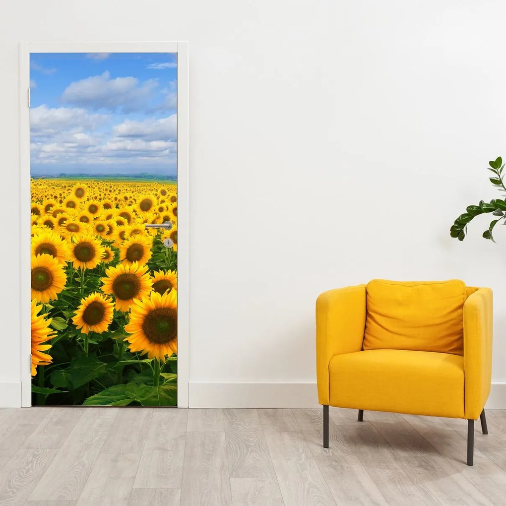 Fototapeta na drzwi - Pole słoneczników (95x205cm)