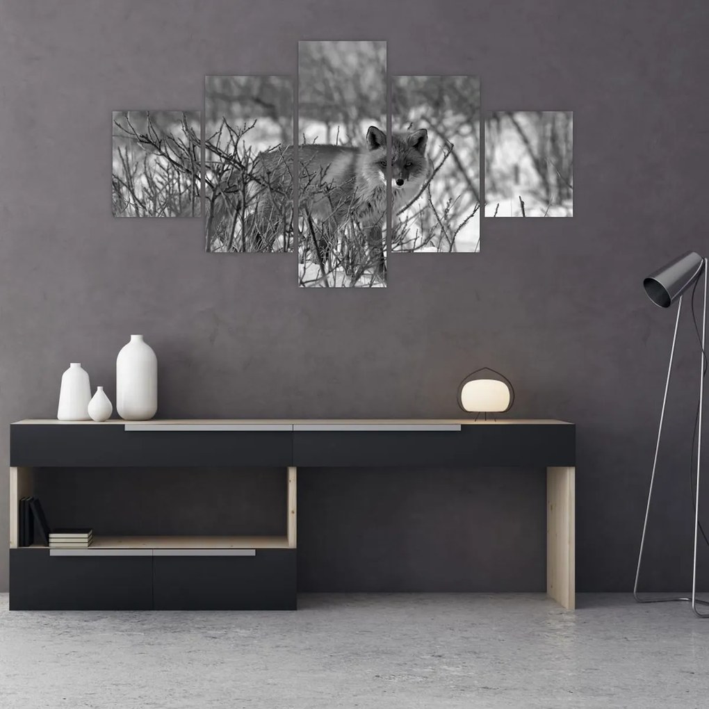 Obraz - Lis w zimie (125x70 cm)