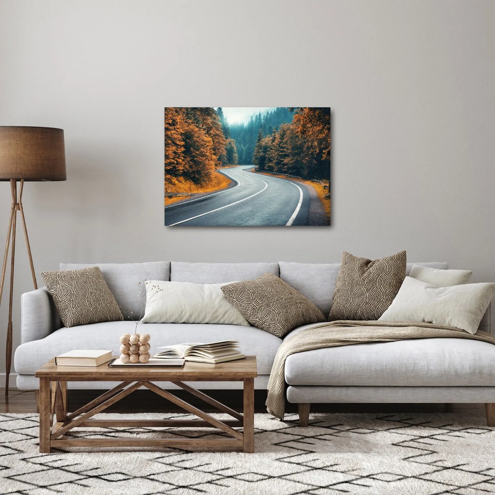 Obraz - Kręta droga (70x50 cm)
