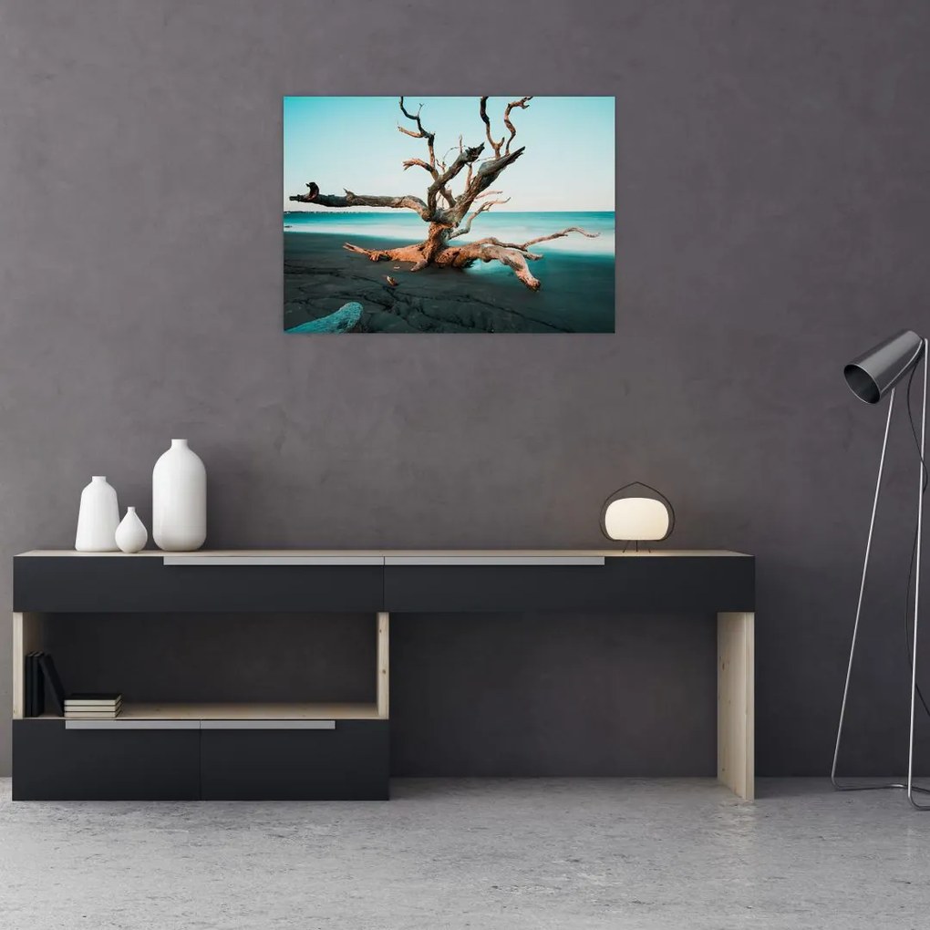 Obraz na szkle -  Wyłowiono na plaży (70x50 cm)