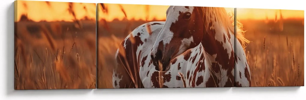Obraz - Koń o zachodzie słońca (170x50 cm)