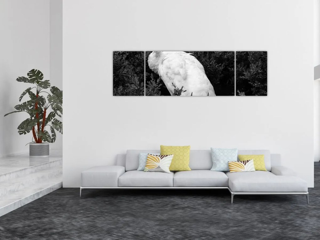 Obraz - Paw, czarno - biały (170x50 cm)