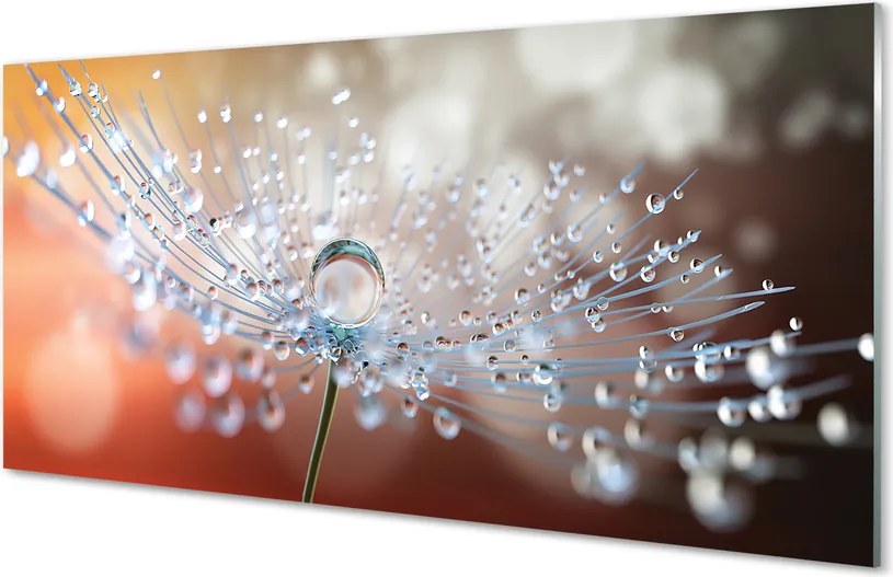 Panel nad Blat Kuchenny Dmuchawiec w Kroplach Rosy